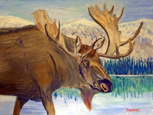 bull moose 9-28-2013