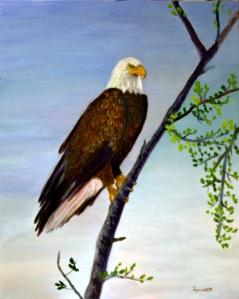 Bald Eagle Gandy-3-C-JES